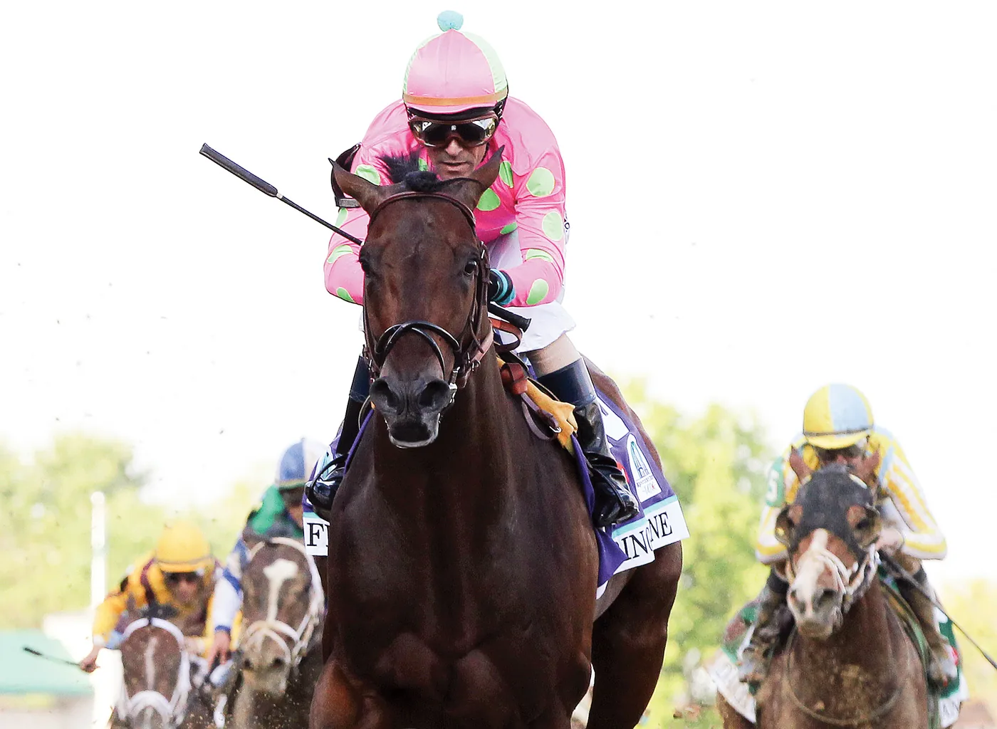 Firing Line 2YO  brings $210,000 at OBS June