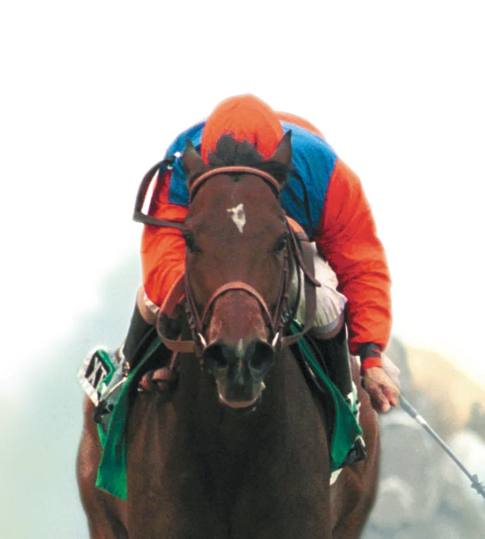 Xtra Heat, Hall of Fame champion bred, foaled, raised and sold by Crestwood Farm