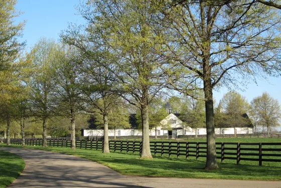 Paddocks at Crestwood Farm in Lexington, Kentucky