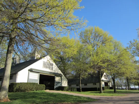 Panoramic view of the fields at Crestwood Farm in Lexington, Kentucky